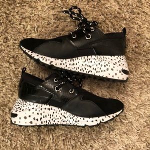 Steve Madden Cliff Black Multi Sneakers